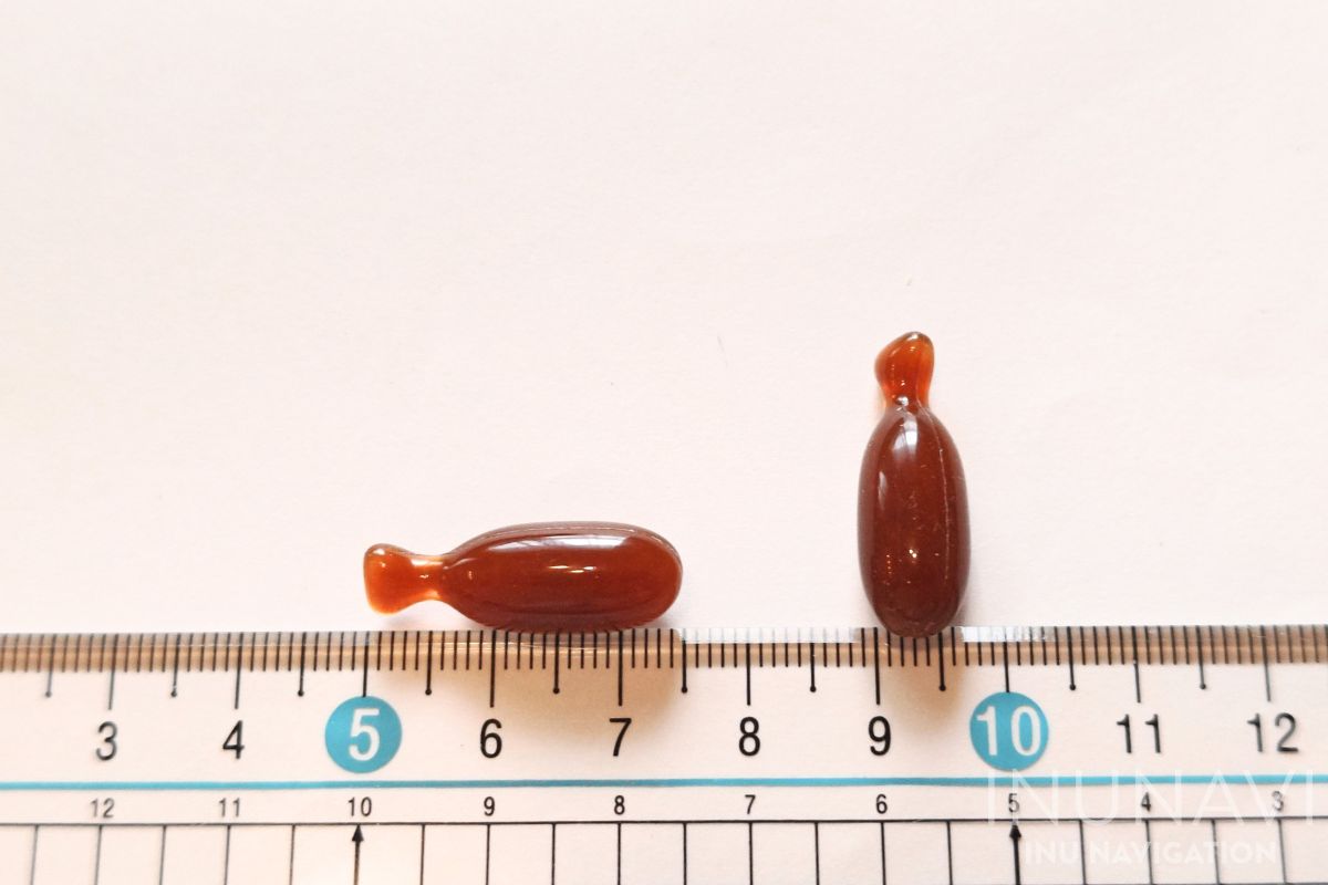 うちのカラダサポートプレミアム」を犬の管理栄養士が徹底検証！口コミ 
