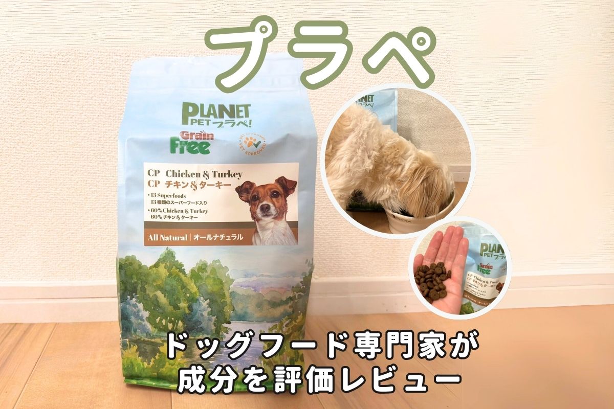 プラペの口コミ評判・品質を徹底検証！獣医師や飼い主の評価は 