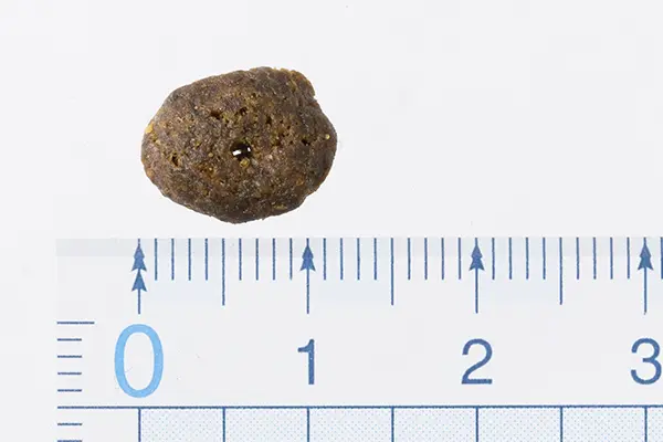 プラペ CP - チキン&ターキー