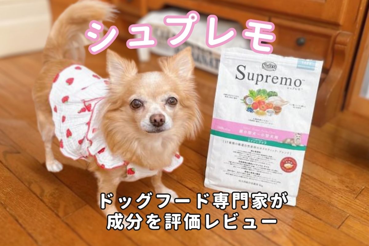 シュプレモの評価や口コミは？原材料・安全性の評判まで徹底リサーチ 