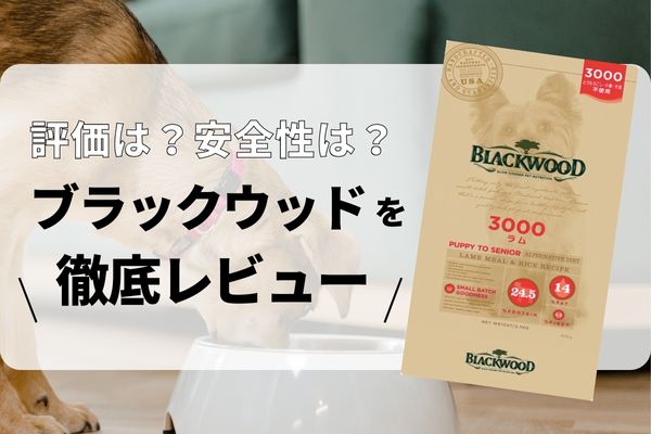 ブラックウッド3000 ラム 15キロ | camillevieraservices.com