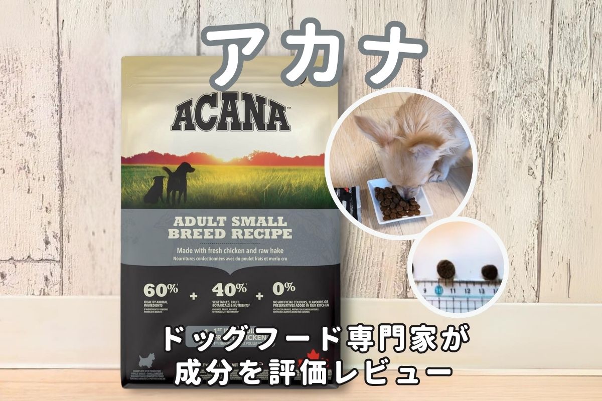 人気7種検証】アカナドッグフードの口コミや原材料の成分評価は？愛犬 