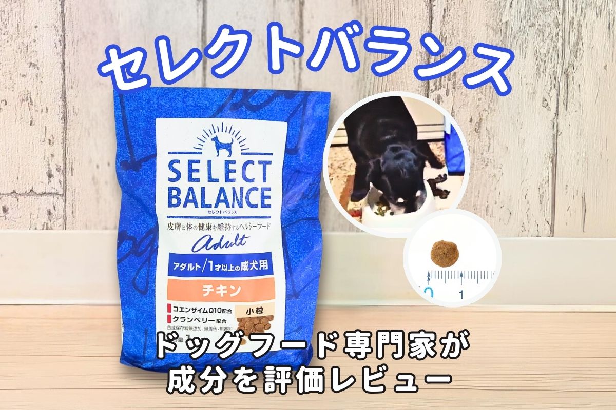 犬用品 セレクトバランス スリム チキン小粒1才以上の成犬用 体重管理