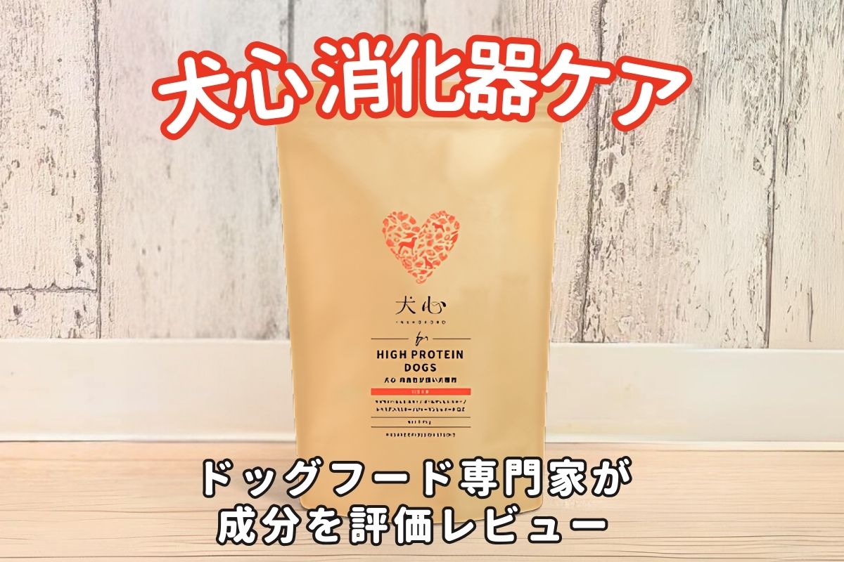 ドッグフード 犬心 元気キープ 犬心 元気キープ 各種のがん 腫瘍性疾患 特別療養食 1.25kg