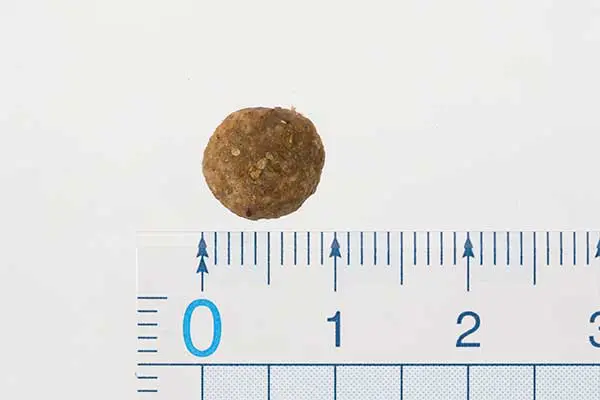 ソルビダ グレインフリー チキン