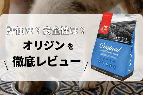 オリジンの口コミ評判 安全性を徹底検証 獣医師や飼い主の評価は Inunavi いぬなび