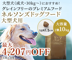 ネルソンズの大型犬専用紹介