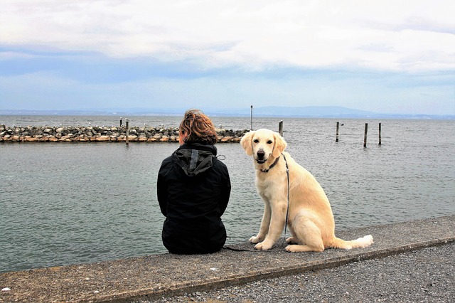 海と犬と女性