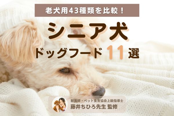 獣医師監修】シニア犬（老犬）おすすめドッグフードランキング11選