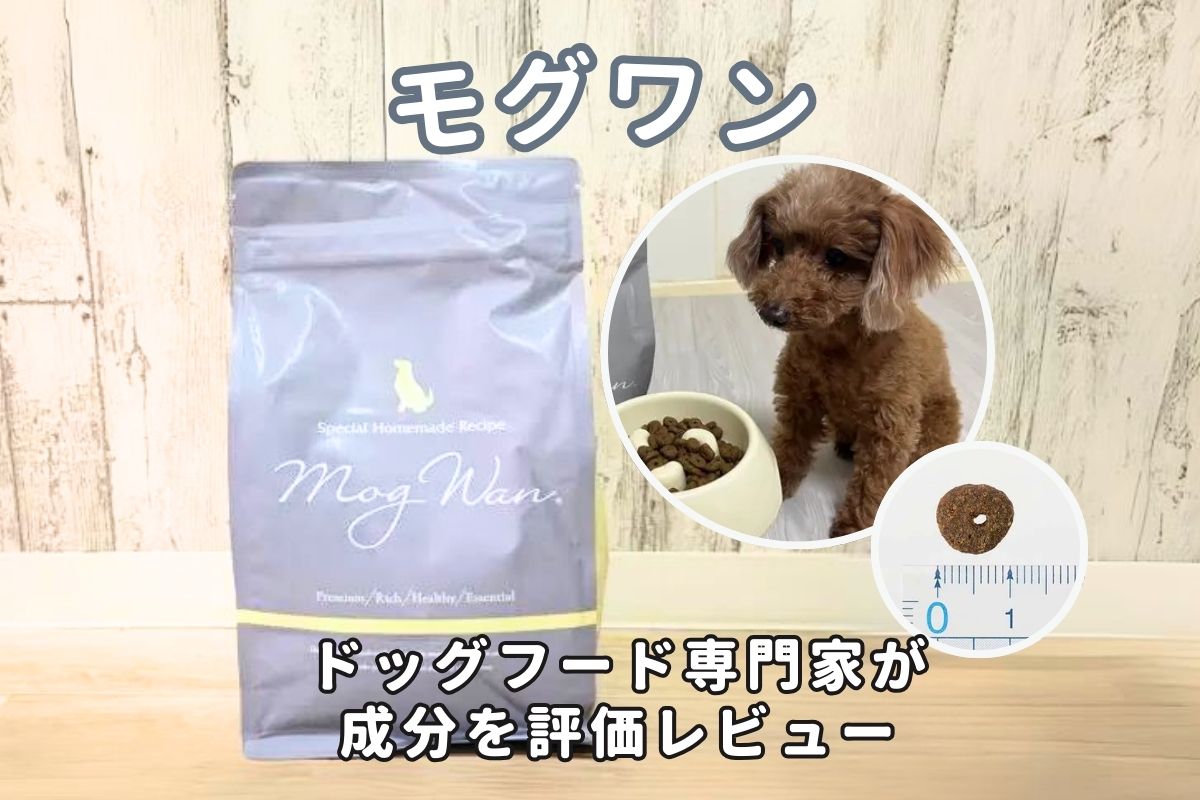モグワンドッグフードの口コミ評判は？320件調査と愛犬レビューで 