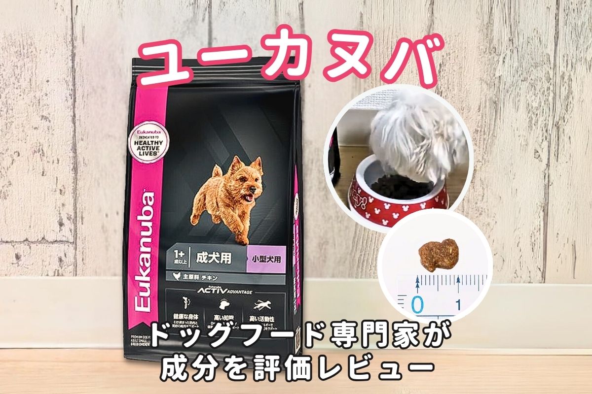 ユーカヌバドッグフードの口コミ評判｜専門家が徹底評価 | INUNAVI 