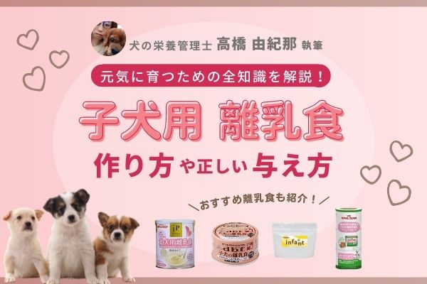 獣医師監修】柴犬におすすめのドッグフード人気ランキング15選【2022年 ...