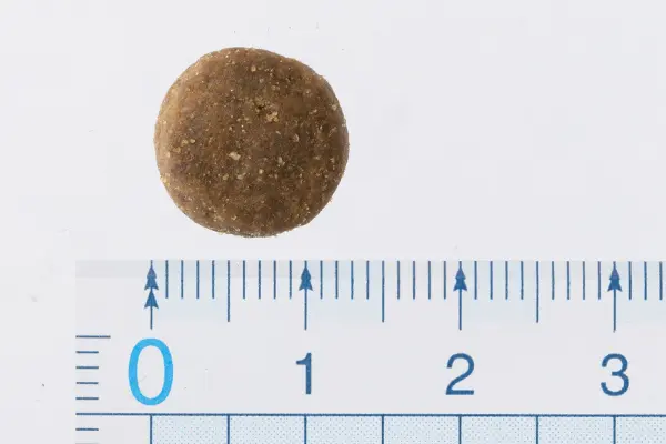 GO!カーニボア チキンターキー+ダック