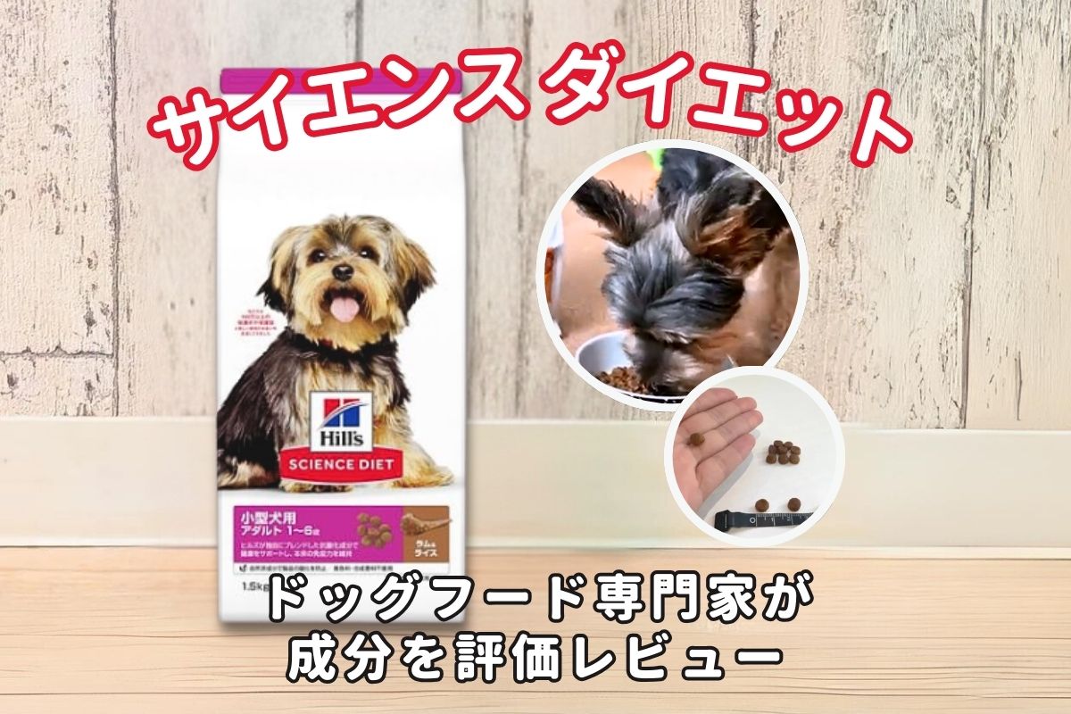 【愛犬レビュー】サイエンス・ダイエットの口コミ調査！ペットフード安全管理者が安全性やドッグフード成分を評価