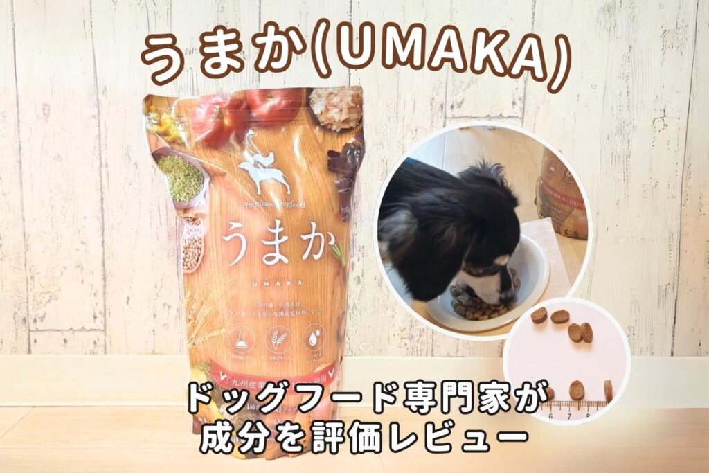 うまか(UMAKA)ドッグフードの口コミ評判は？愛犬レビューで分かったデメリットや特徴も紹介