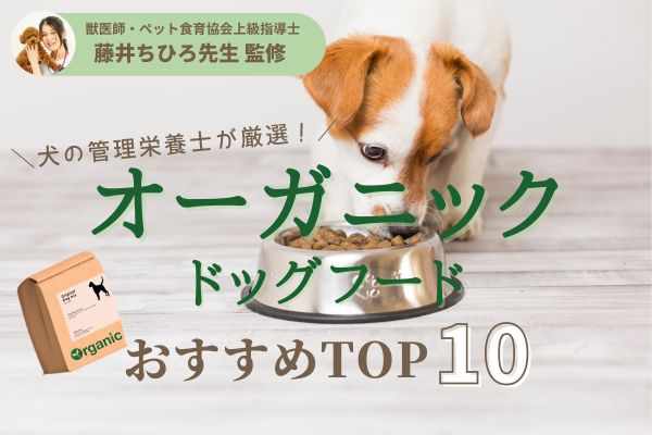 獣医師監修】オーガニックドッグフードおすすめ人気ランキング10選 