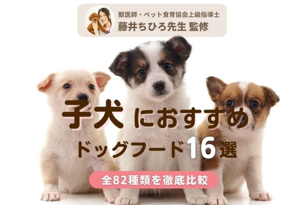 【獣医師監修】子犬におすすめのドッグフード人気ランキング16選