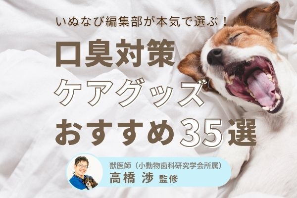 2022年最新！犬の口臭対策におすすめケアグッズ原因別35選【獣医師監修】