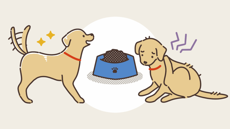 ドッグフードが合っているか合っていないかどう判断する?