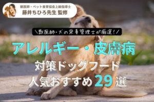 【獣医師監修】犬のアレルギーや皮膚トラブル対策におすすめのドッグフードランキング29選