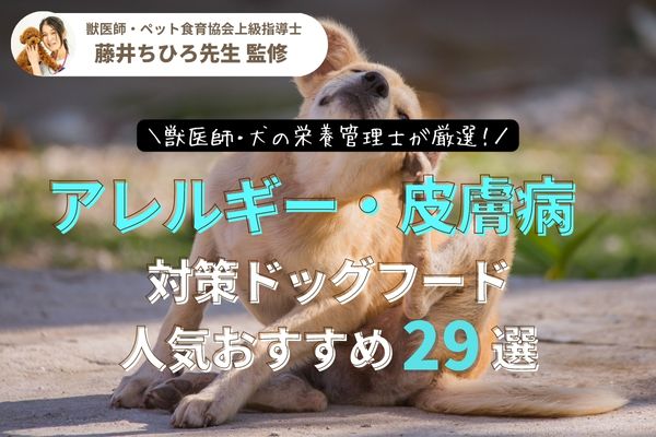 【獣医師監修】犬のアレルギーや皮膚病対策におすすめのドッグフードランキング29選