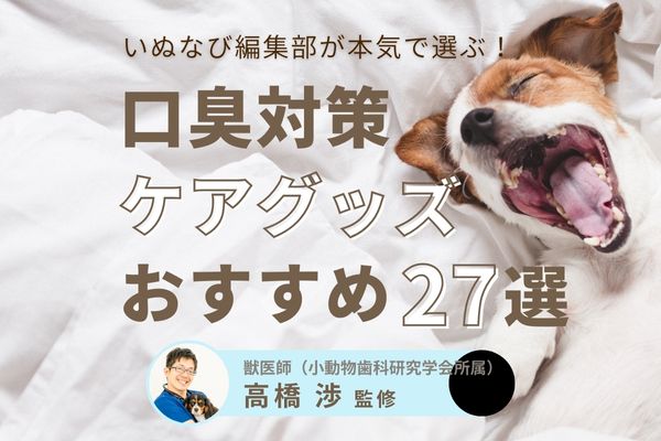【最新版】犬の口臭の原因とおすすめケアグッズ27選【獣医師監修】