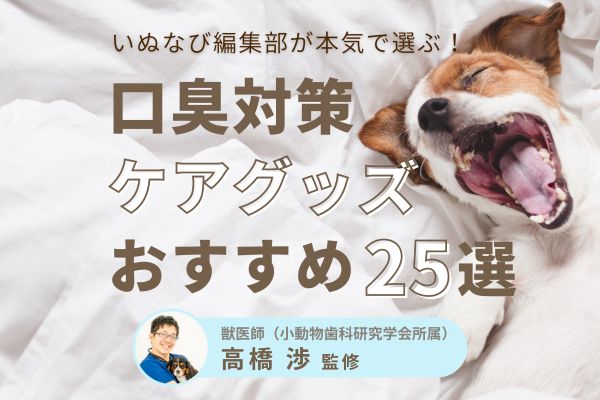【最新版】犬の口臭の原因とおすすめケアグッズ25選【獣医師監修】