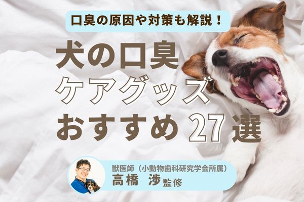 犬の口臭ケアグッズおすすめランキング27選！口臭の原因や対策は？【獣医師監修】