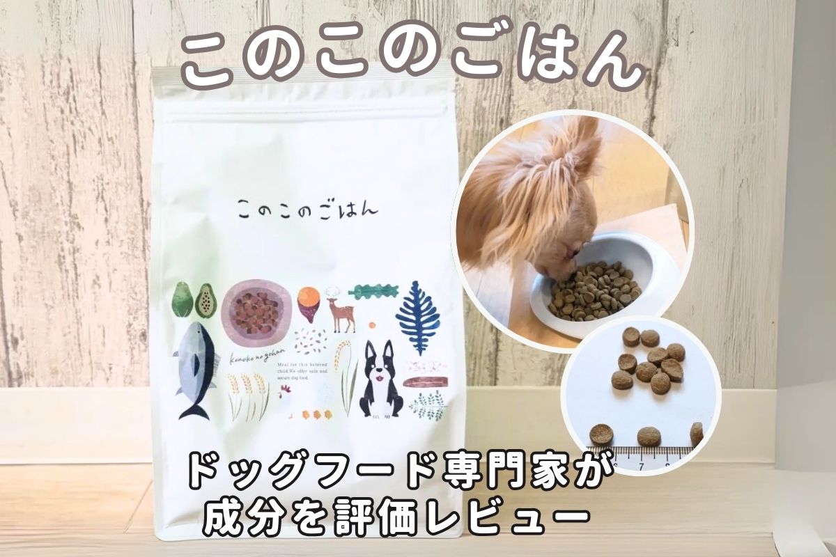 このこのごはんの口コミ評判は？悪評の真意を6匹の愛犬レビューで徹底 