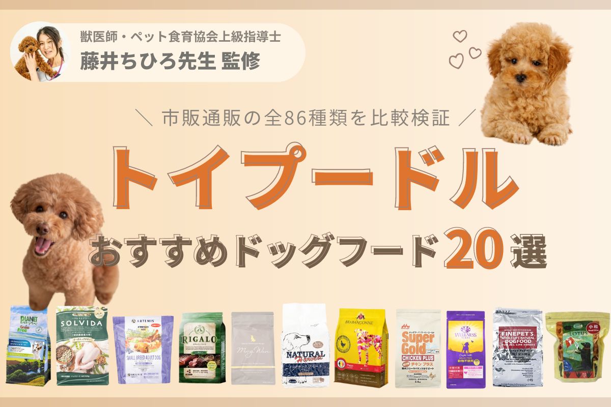 ３個限定！ロイヤルカナン プードル成犬用 7.5kg