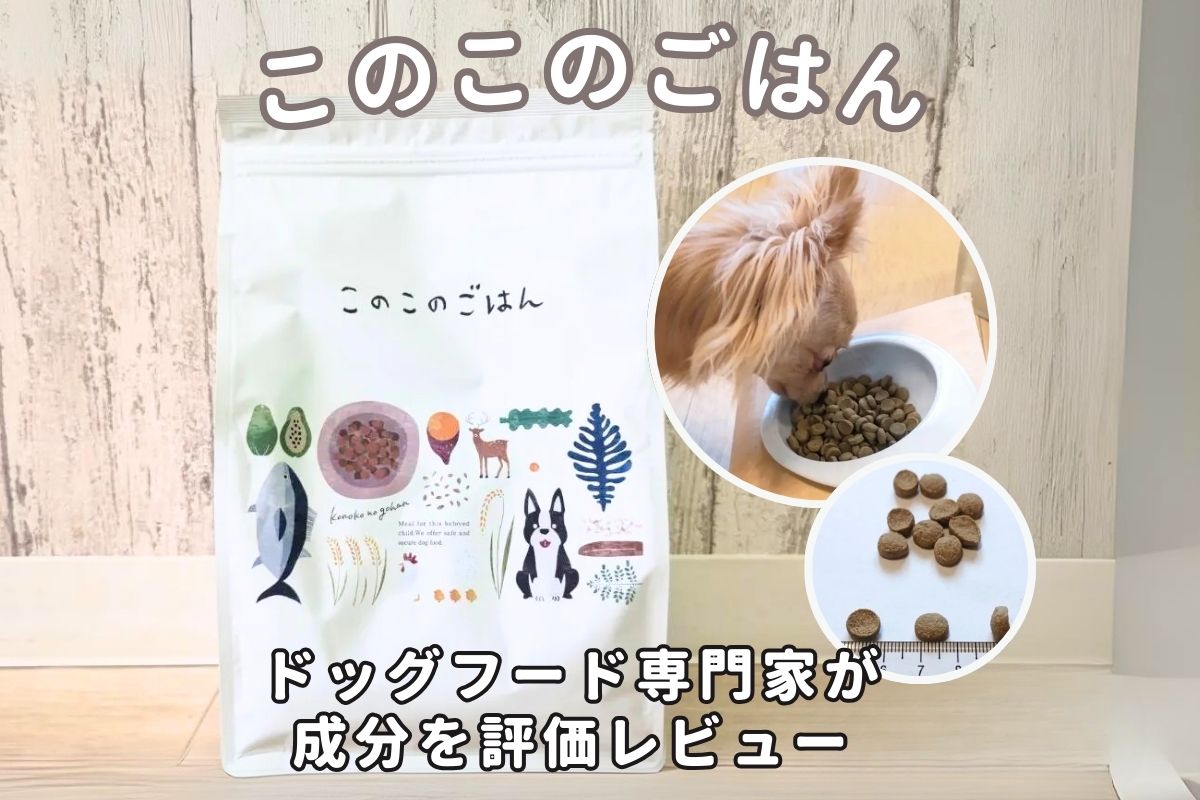 このこのごはんの口コミ評判は？悪評の真意を6匹の愛犬レビューで徹底検証🐶🔍 | INUNAVI（いぬなび）