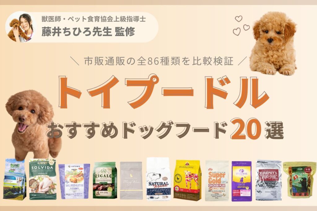 トイプードル向きおすすめドッグフード20選｜食いつき×健康維持に良い餌は？【2024年版】