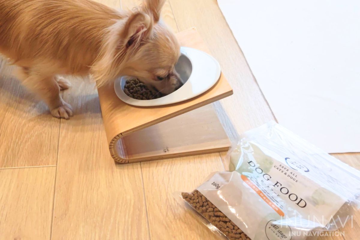 犬猫生活さんの『デンタルパウダー』2ヶ月間試してみるよ?✨ お口の 