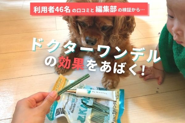 ドクターデンタルワン - 犬用品