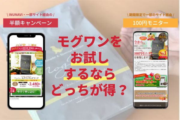 モグワンのお試しは初回半額キャンペーンがおすすめ！100円モニターとの違いや最安値情報も