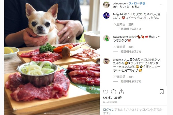 非公開 都内 犬と行けるドッグカフェ人気おすすめ15選 おしゃれで可愛い店舗を紹介 Inunavi いぬなび