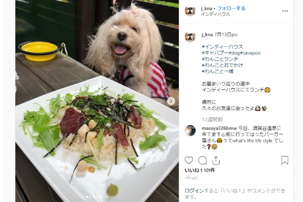 非公開 都内 犬と行けるドッグカフェ人気おすすめ15選 おしゃれで可愛い店舗を紹介 Inunavi いぬなび