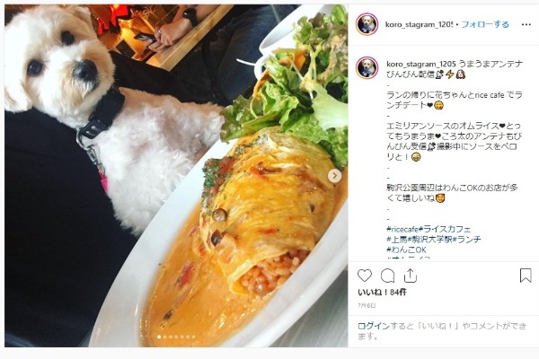 非公開 都内 犬と行けるドッグカフェ人気おすすめ15選 おしゃれで可愛い店舗を紹介 Inunavi いぬなび