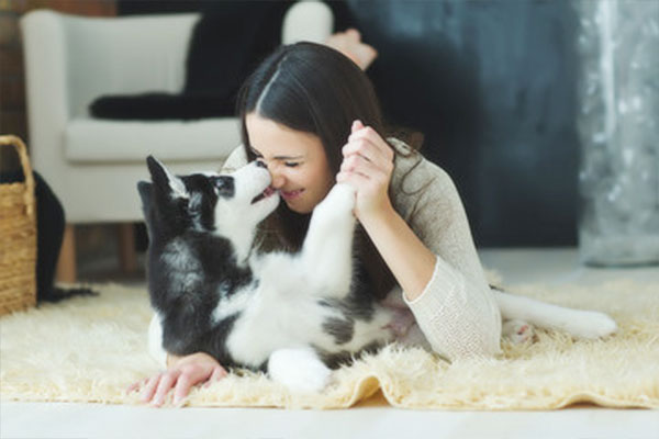 22年調査 犬の口臭ケアにおすすめ対策グッズ原因別35選 獣医師監修 Inunavi いぬなび