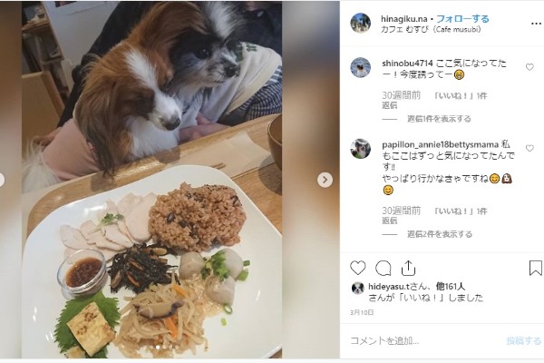 非公開 都内 犬と行けるドッグカフェ人気おすすめ15選 おしゃれで可愛い店舗を紹介 Inunavi いぬなび