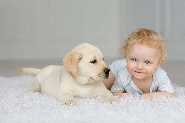 子犬と赤ちゃん