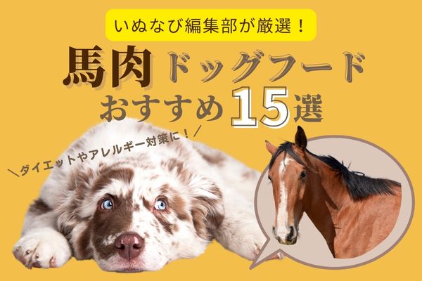 厳選15品】馬肉ドッグフードおすすめ人気ランキング！アレルギーや健康