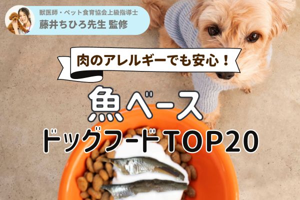 獣医師監修】魚ベースのドッグフードおすすめランキング20選 
