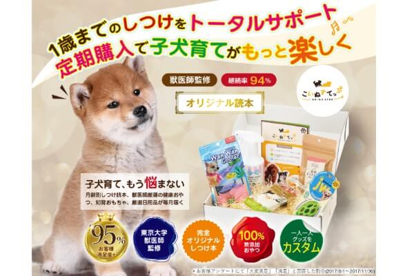 ドッグトレーナーが教える ボーダーコリーの飼い方 特徴 病気は Inunavi いぬなび