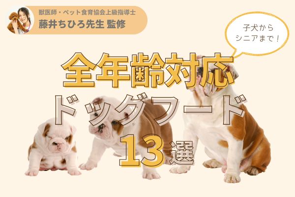 【獣医師監修】全年齢対応おすすめ人気ドッグフード13選｜ウェルケアやモグワンなど栄養バランスが良いのは？