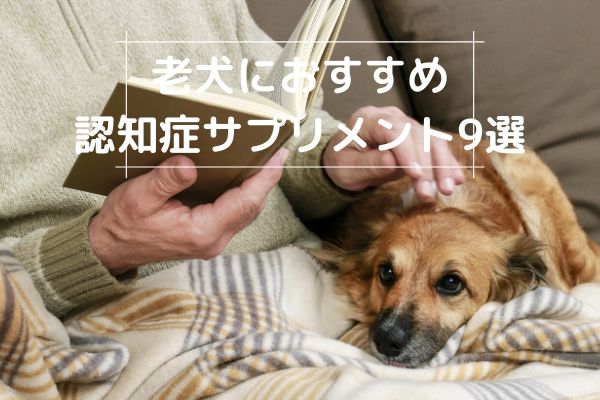 老犬におすすめの認知症用サプリメント8選【2022年最新】