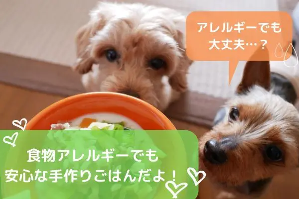 看護師執筆 犬の食物アレルギー性皮膚炎に効果的な手作りごはん Inunavi いぬなび