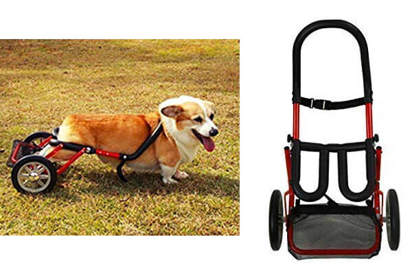 犬用車椅子、柴犬用４輪車、犬の車椅子 www.petcentercanoas.com.br