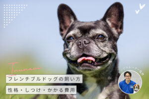 フレンチブルドッグの正しい飼い方！性格やしつけや健康維持のポイントまで徹底解説