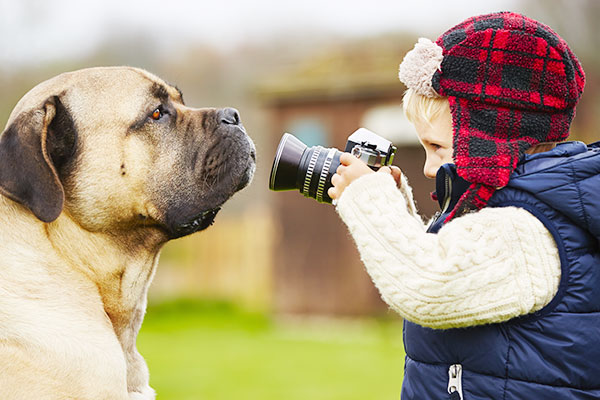 子供とカメラと犬